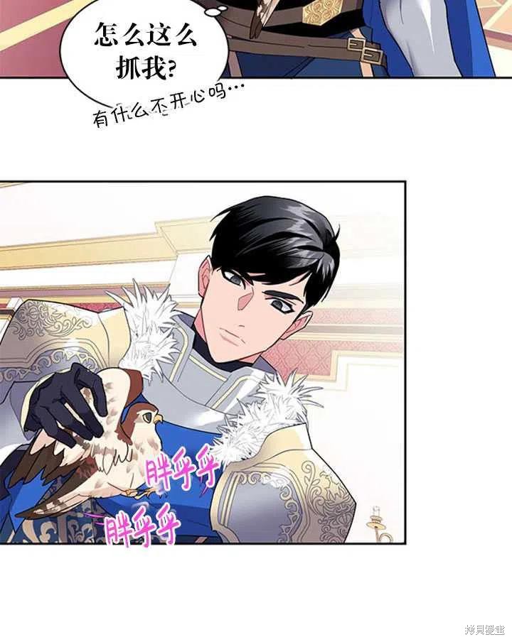 第51页