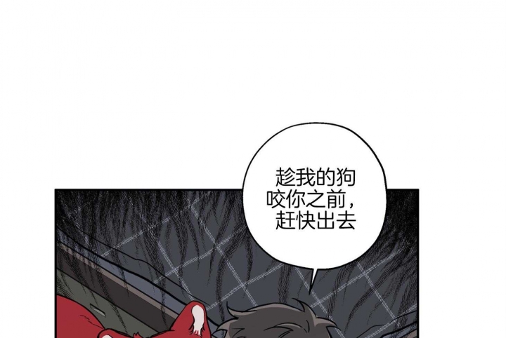 第44页