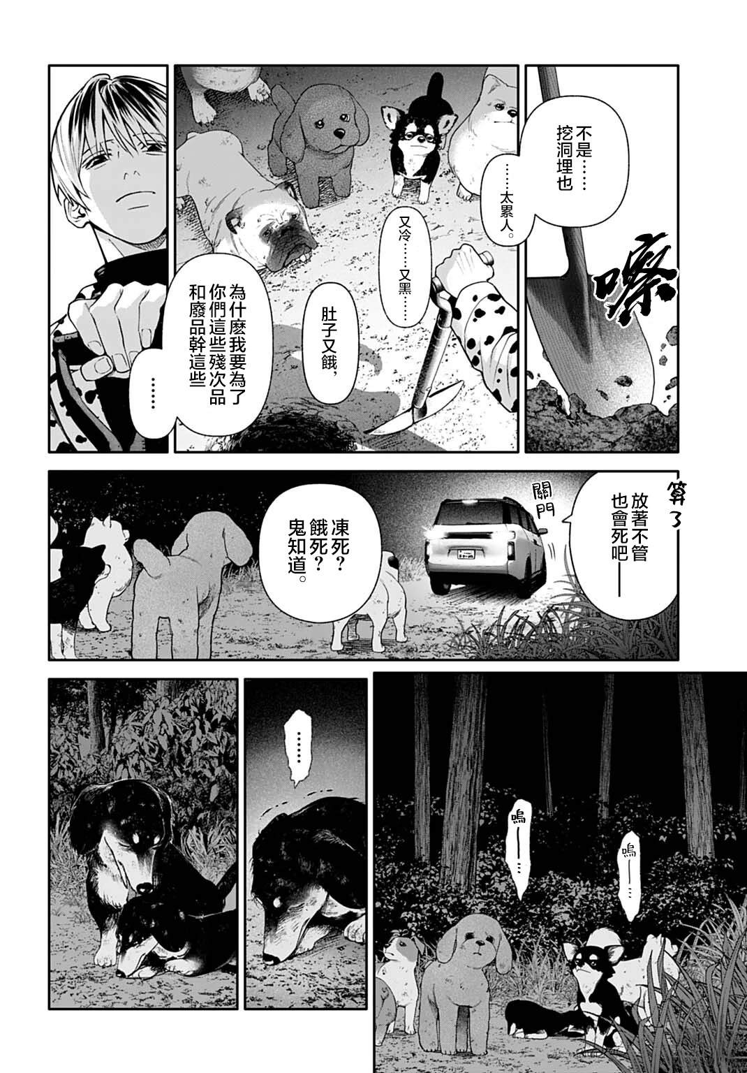 第12页