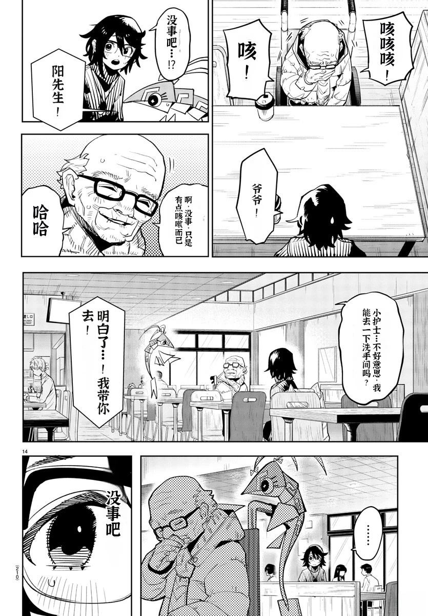 第13页
